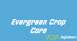 Evergreen Crop Care