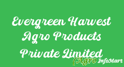 Evergreen Harvest Agro Products Private Limited chennai india