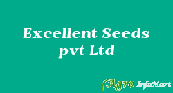 Excellent Seeds pvt Ltd  himatnagar india