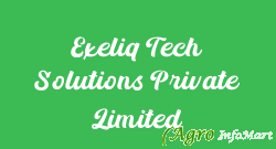 Exeliq Tech Solutions Private Limited noida india