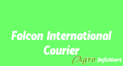 Falcon International Courier pune india