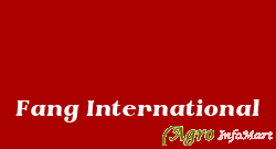 Fang International kanpur india