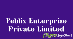 Feblix Enterprise Private Limited ahmedabad india