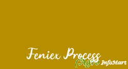 Feniex Process coimbatore india