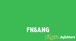 Fnsang