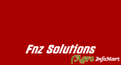 Fnz Solutions