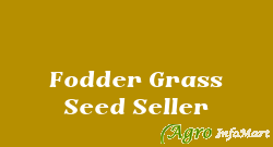 Fodder Grass Seed Seller