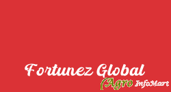 Fortunez Global