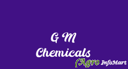 G M Chemicals delhi india