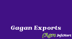 Gagan Exports