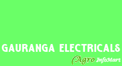Gauranga Electricals delhi india