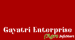 Gayatri Enterprise vadodara india