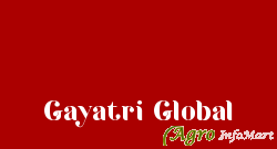 Gayatri Global indore india