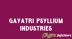 Gayatri Psyllium Industries mehsana india