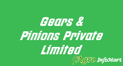 Gears & Pinions Private Limited bangalore india