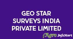 Geo Star Surveys India Private Limited mumbai india
