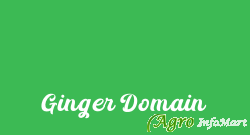 Ginger Domain