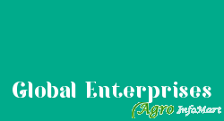 Global Enterprises pune india