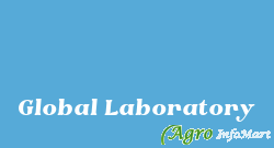 Global Laboratory vadodara india
