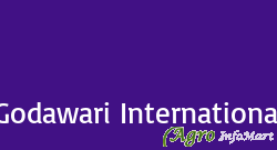 Godawari International