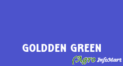 Goldden Green chennai india