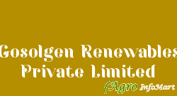 Gosolgen Renewables Private Limited hyderabad india