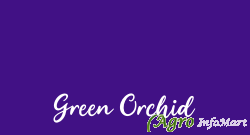 Green Orchid chennai india
