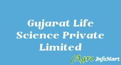 Gujarat Life Science Private Limited vadodara india