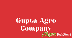 Gupta Agro Company delhi india