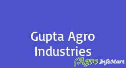 Gupta Agro Industries rohtak india