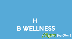 H & B Wellness panchkula india