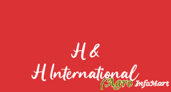 H & H International