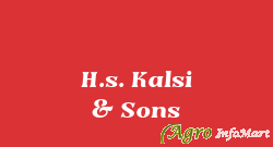 H.s. Kalsi & Sons ludhiana india