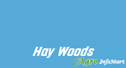 Hay Woods jaipur india