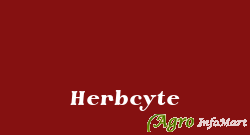 Herbcyte
