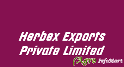 Herbex Exports Private Limited raipur india