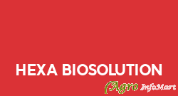 Hexa Biosolution