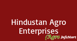 Hindustan Agro Enterprises