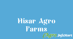 Hisar Agro Farms