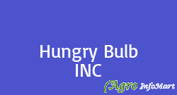 Hungry Bulb INC delhi india