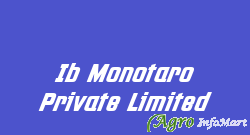 Ib Monotaro Private Limited delhi india