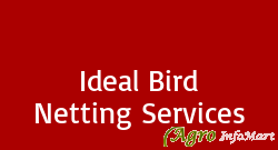 Ideal Bird Netting Services