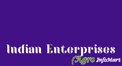 Indian Enterprises