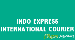 Indo Express International Courier