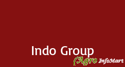 Indo Group pune india