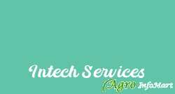 Intech Services