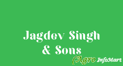 Jagdev Singh & Sons ludhiana india