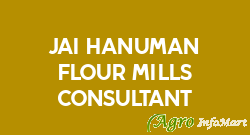 Jai Hanuman Flour Mills Consultant