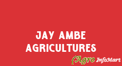 Jay Ambe Agricultures morbi india