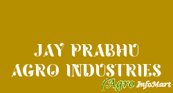 JAY PRABHU AGRO INDUSTRIES mehsana india